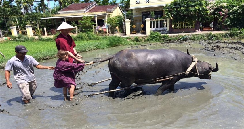 vietnam family tour