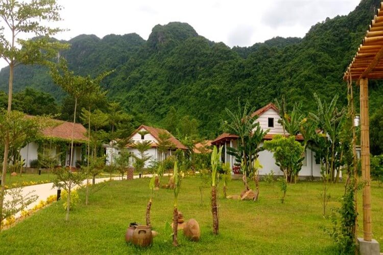 Five homestays are popular in Phong Nha