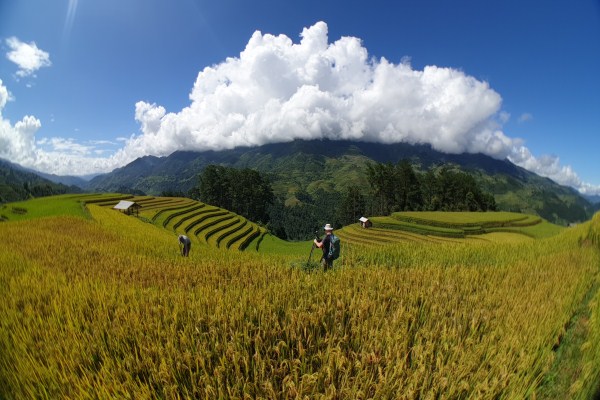 Top 10 places for Photography Tours in Northern Vietnam