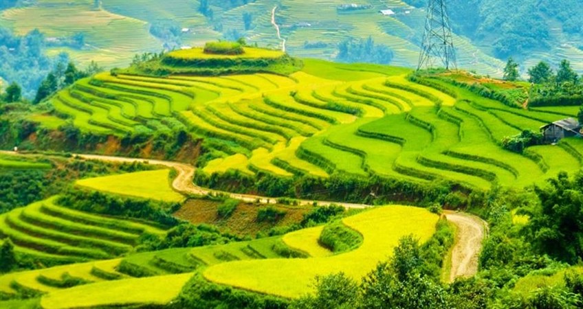 best time to visit sapa