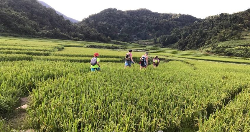 vietnam tours and holidays in 2019