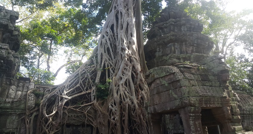 tour to vietnam and cambodia