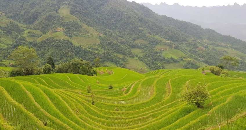 rice terraces at phuong do commune in ha giang