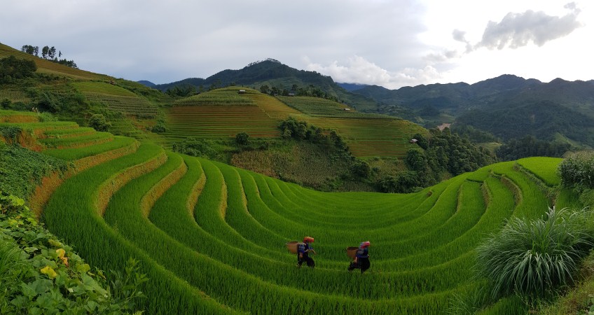 mu cang chai photo tour