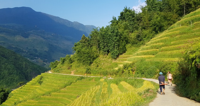 Photos of Sapa's Rice Terraces