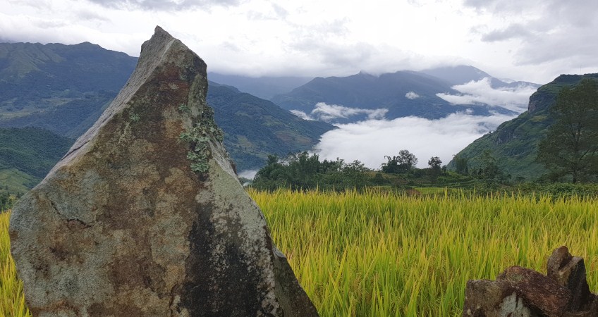 y ty vietnam photography tour