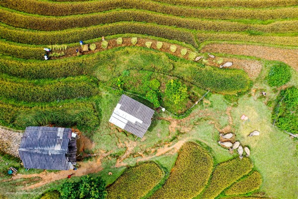  The 10 Most Friendly Destinations in Vietnam