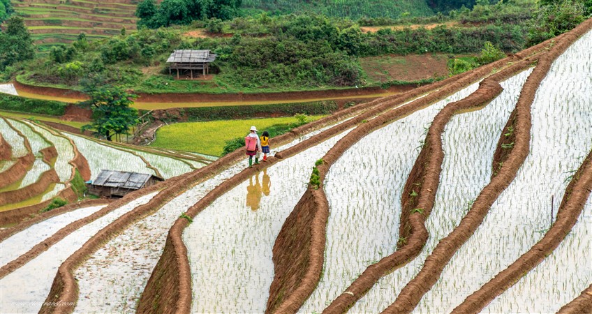 trip to vietnam