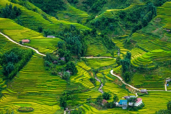Vietnam Travel Trends After Covid-19 is over
