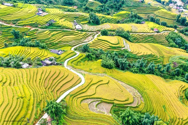 Things Tourists Like About Vietnam