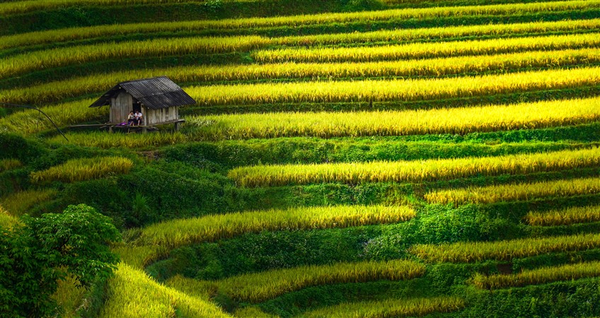 second tour to vietnam