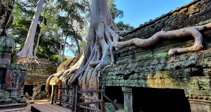 angkor tour