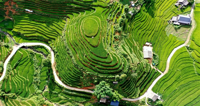 travel to vietnam with vivu travel