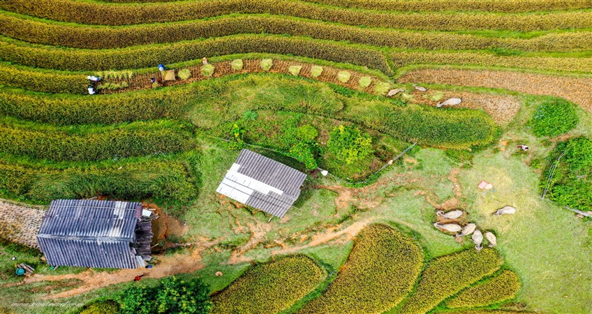 lagence de voyage au Vietnam