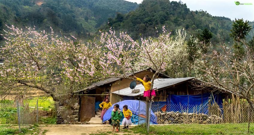 the best time to visit ha giang
