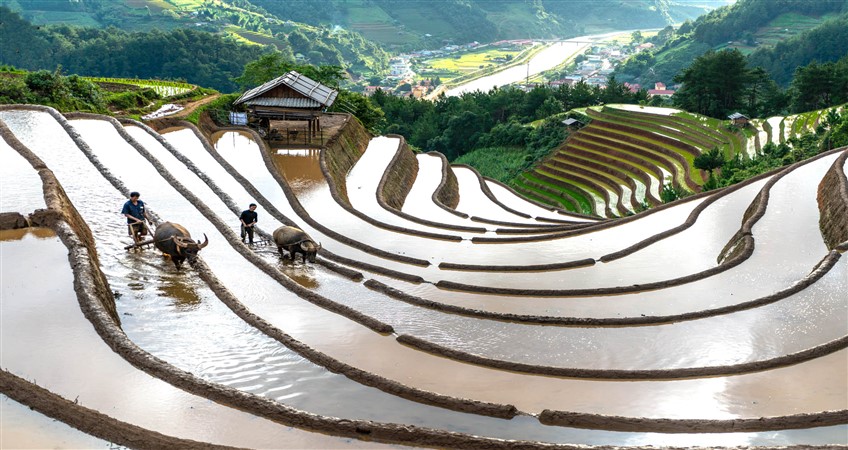 north vietnam tour packages