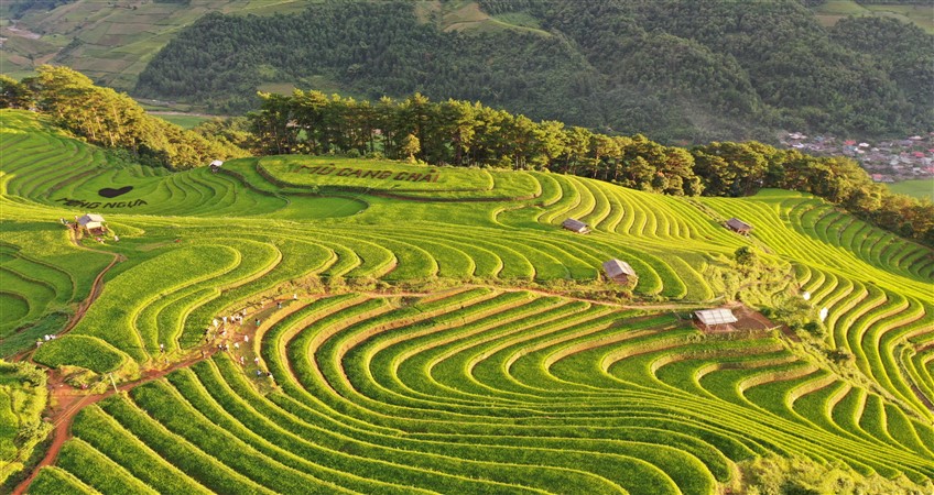 vietnam photography tours in mu cang chai