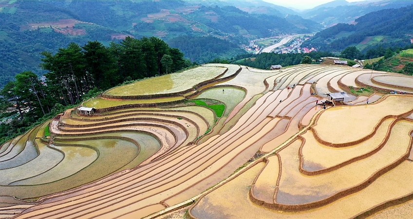 best tours of vietnam in 2025