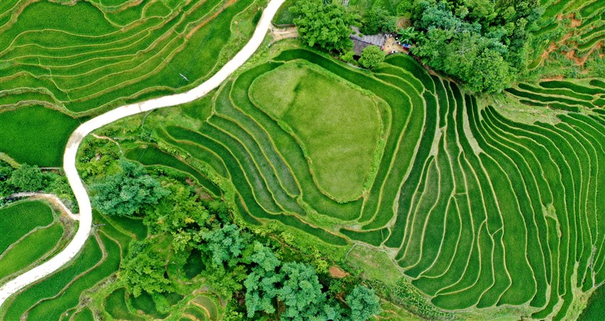 short tours of vietnam