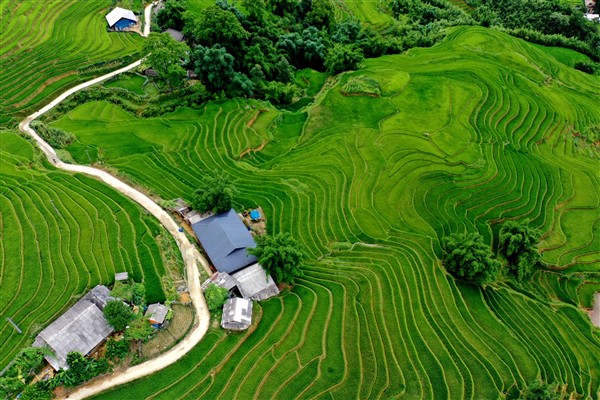 Why do Australian travelers love to visit Vietnam?