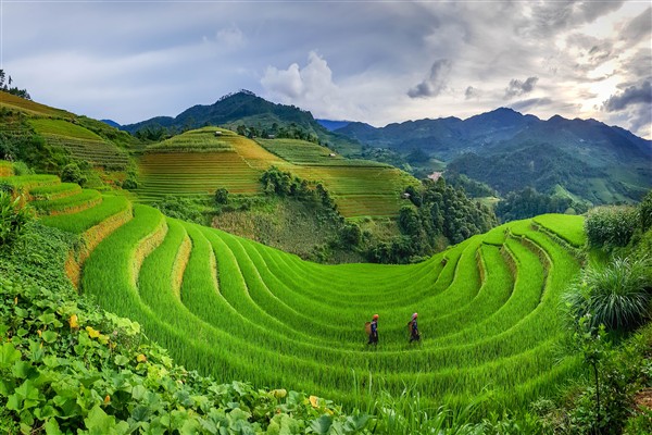 Tour to Mu Cang Chai and The Must-Visit Spots
