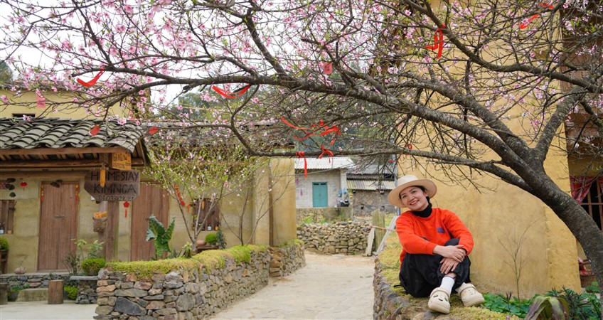 du xuan mien bac