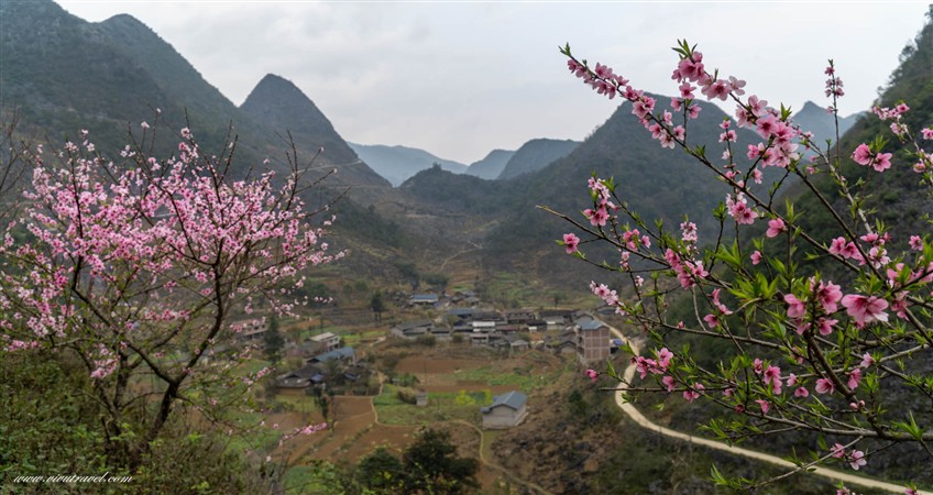 tour tet hagiang