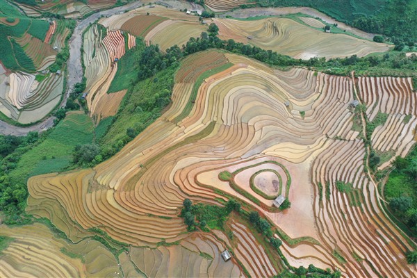 Vietnam Photo Tour Through The Enchanting Rice Terraces