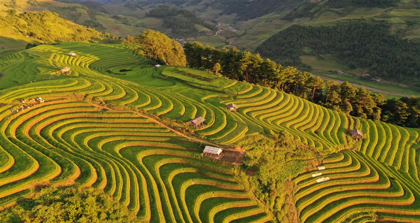 mu cang chai tour