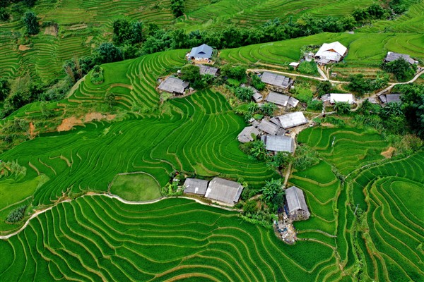 A Love Letter to the Israeli Traveler: Discover the Soul of Vietnam