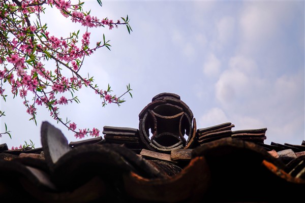 Traveling in Vietnam During Tet: A Journey Full of Colors and Meaning