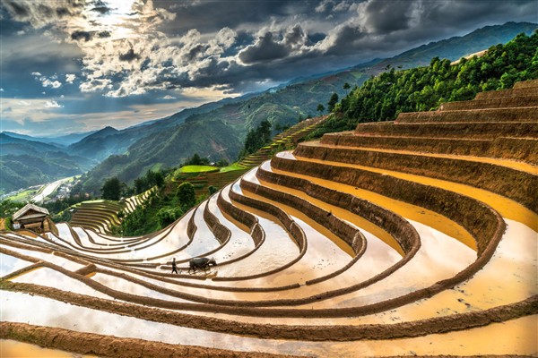 Vietnam Winter Holiday: Escape the Cold