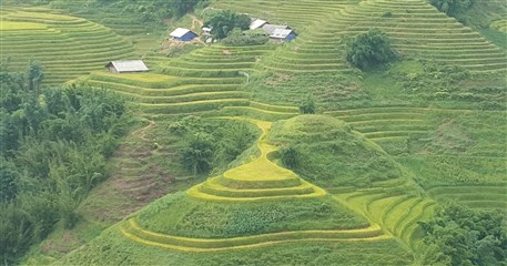 SP11: Amazing Sapa and Mu Cang Chai - 4 days / 3 nights