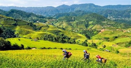 SP01: Sapa Tour At a Glance by Road - 2 days / 1 night