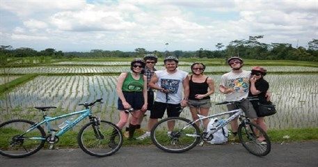 HN23: Bike Tour to But Thap Pagoda – Dong Ho Folk Painting Village - Full Day
