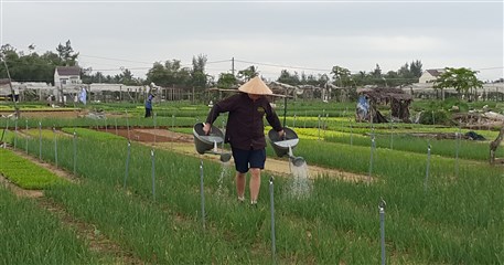 HST11: Hoi An Homestay Tour - 2 days / 1 night