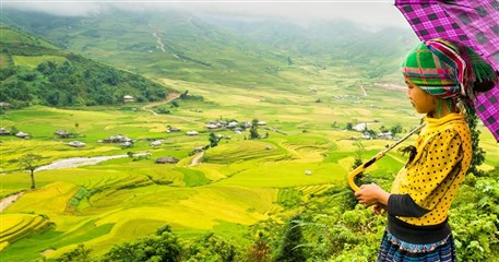 HST08: Mu Cang Chai Homestay Tour - 4 days / 3 nights