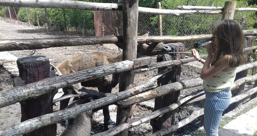 family tour with kids in vietnam