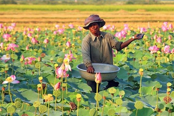 Prey Veng