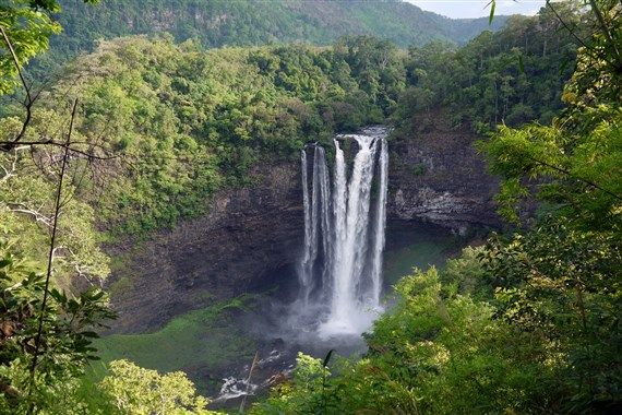 Bolaven Plateau
