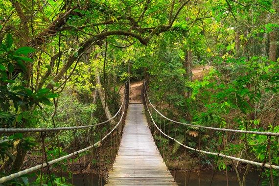 Khao Yai National Park