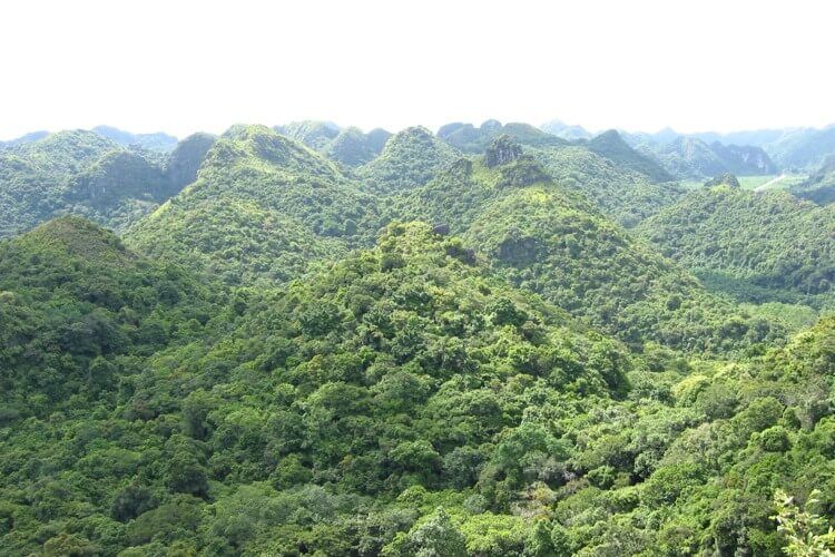 Pa Co-Hang Kia Nature Reserve