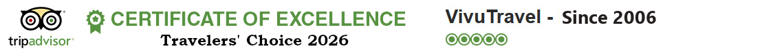 tripadvisor award
